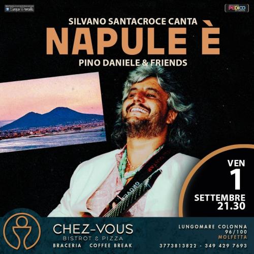 SILVANO SANTACROCE CANTA NAPULE E' ...PINO DANIELE & FRIENDS A MOLFETTA