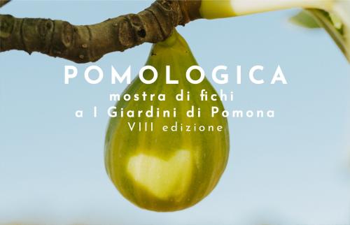 POMOLOGICA mostra di fichi a "I Giardini di Pomona" -2023-