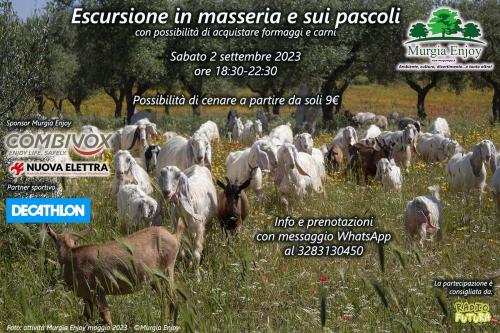 Escursione in masseria e sui pascoli