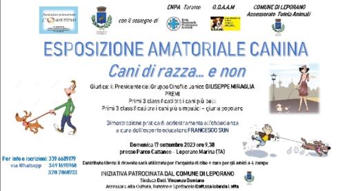 Esposizione Canina "CANI DI RAZZA E NON"