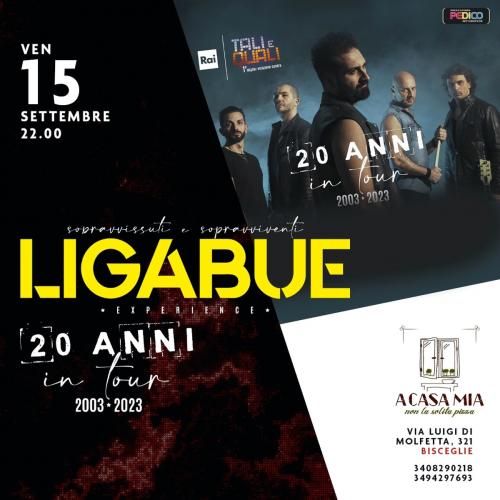 Sopravvissuti E Sopravviventi Ligabue Experience live a Bisceglie