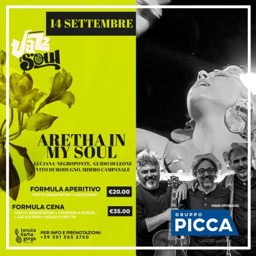 Aretha in my Soul