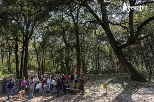 Giornate Europee del Patrimonio 2023: Gli antichi mestieri del bosco