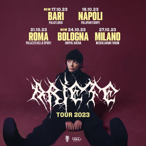 Ariete in concerto