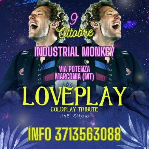 Loveplay - Coldplay Tribute
