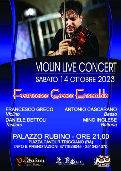Violin Live Concert