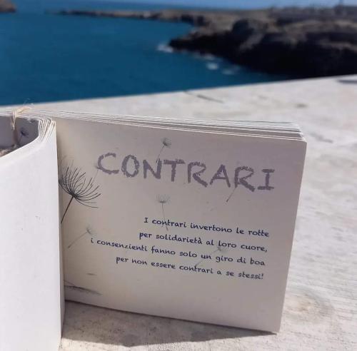 Rassegna "Cultural...mente". I contrari. Come definirli nella società attuale?