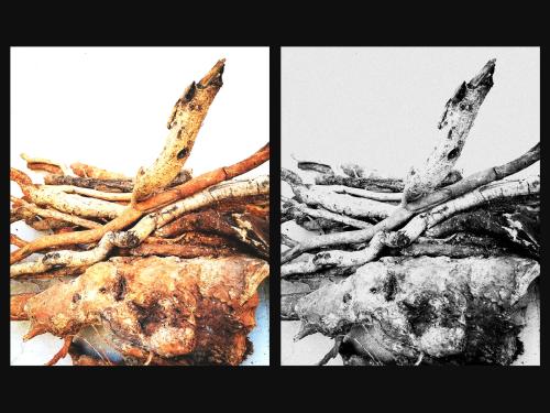 Teresa Vella le Forme del Tempo