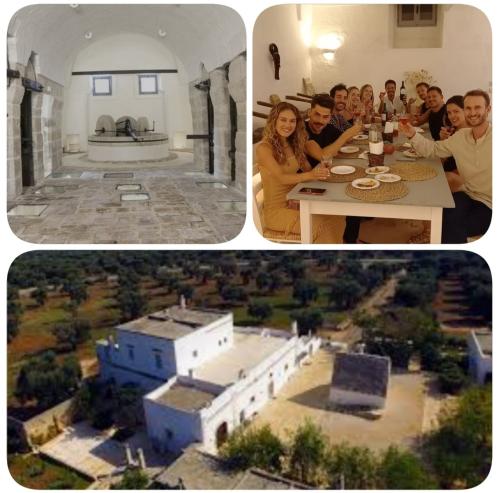 Visita guidata alla Masseria Capece con degustazione di vini e prodotti tipici🍷