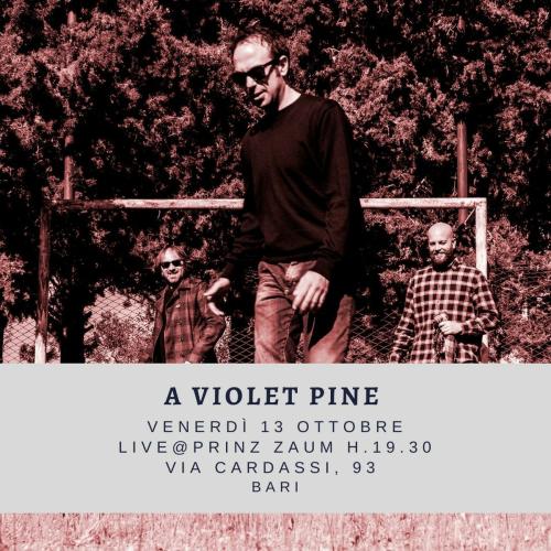 A VIOLET PINE in concerto