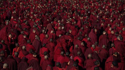 Incontri con il Cinema Buddhista