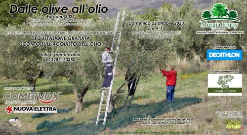 Dalle olive all'olio - Ediz. 2023 a Sannicandro di Bari