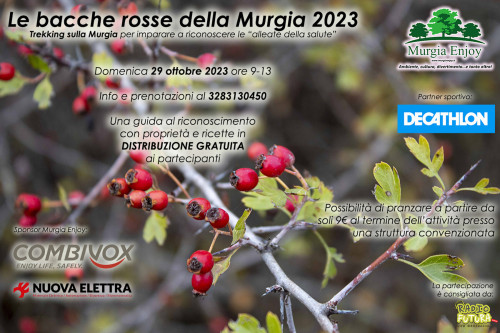 Le bacche rosse della Murgia 2023