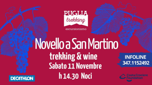 NOVELLO A SAN MARTINO trekking & wine