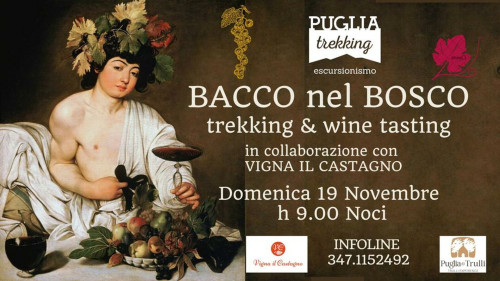 BACCO NEL BOSCO Trekking and wine tasting