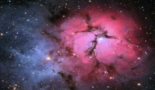 Spettacoli Astronomici del Planetario di Bari
