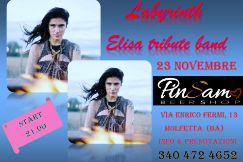 LABYRINTH AL PINSAM