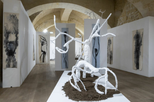 Yuval Avital. Bosco di Lecce