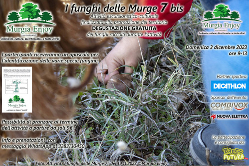 I funghi delle Murge 7 bis con Murgia Enjoy