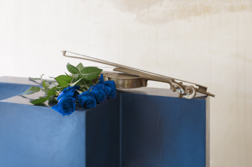 Vettor Pisani L'enigma e il segreto, a cura di Giovanna dalla Chiesa e Carmelo Cipriani.