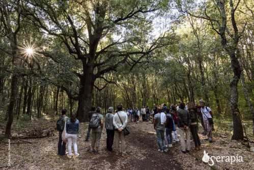 L'incantevole Bosco delle Pianelle