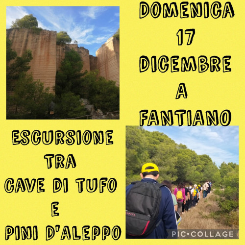 Fantiano tra Cave di tufo e pini D'Aleppo