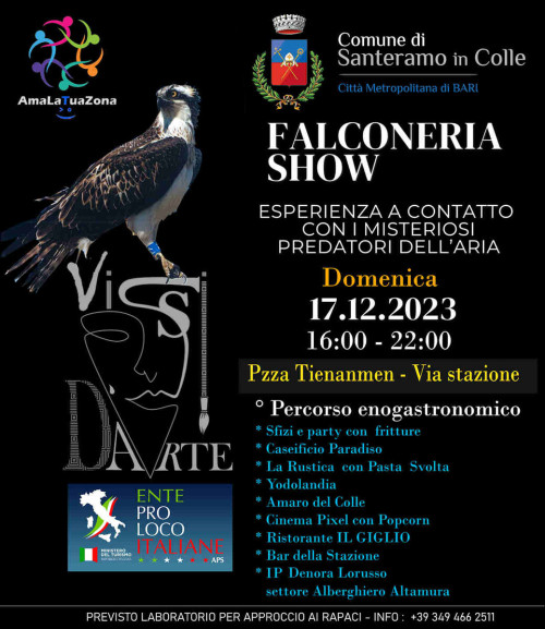 Falconeria Show - Evento Vis(S)i D'Arte