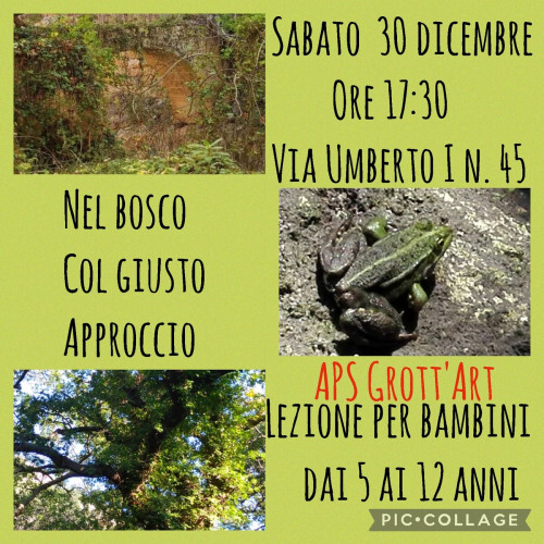 Nel Bosco col Giusto Approccio