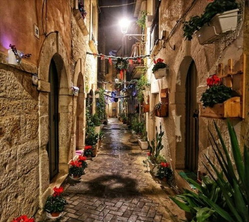 "Le Vie dei fiori e del Natale" oggi a Bitonto