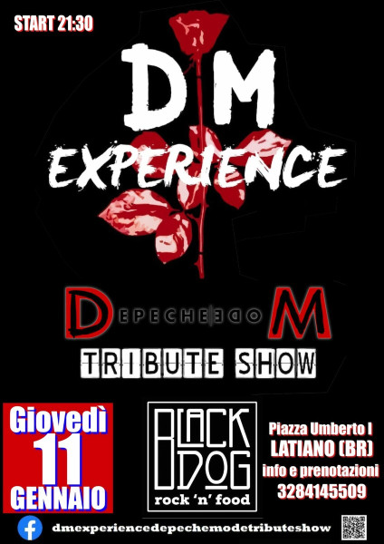 Depeche Mode Experience