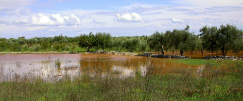Le doline di Conversano