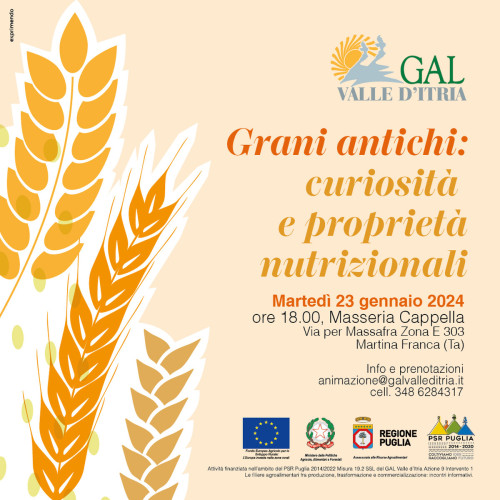 Grani Antichi: curiosità e proprietà nutrizionali