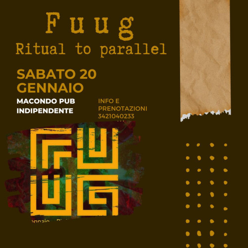The fuug live concert