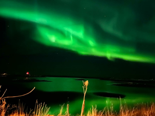 AURORE BOREALI  Alla ricerca delle Northern Lights