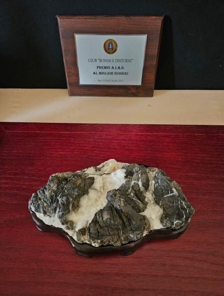 Suiseki: l'antica Arte Giapponese delle pietre figurate