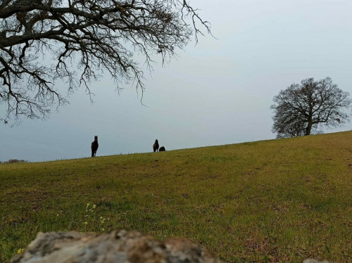 Il trekking di Santa Lucia ai monti