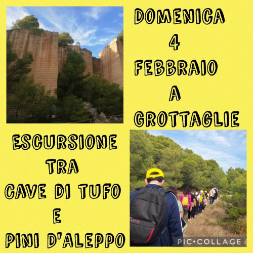 Cave di tufo e Pini d' Aleppo