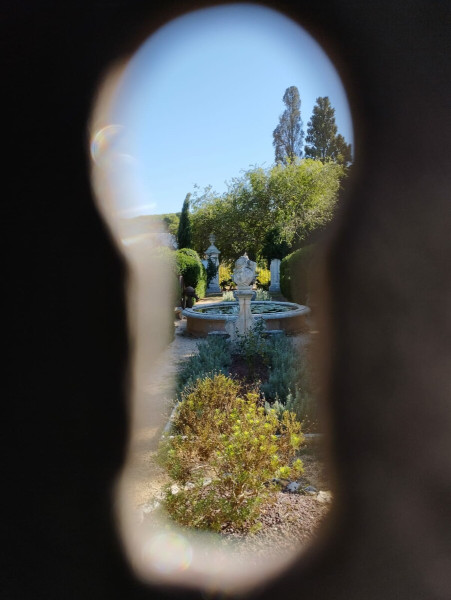 Locorotondo, tra giardini, boschi ed erbe spontanee commestibili