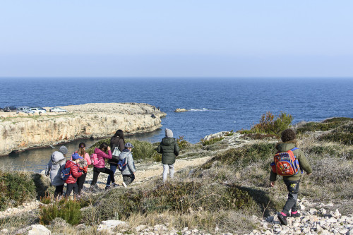 PaleoLab: un giorno da paleontologo