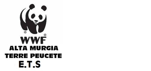 Convocazione assemblea Venerdì  ore 20.15