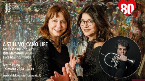 A STILL VOLCANO LIFE