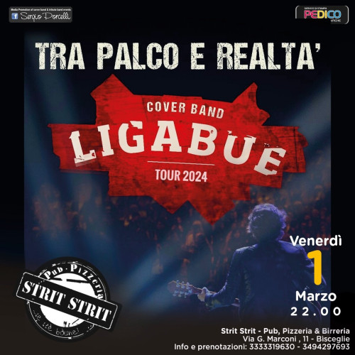 TRA PALCO E REALTA' - LIGABUE COVER BAND LIVE A BISCEGLIE