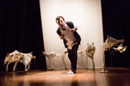 Zanna Bianca - Della natura selvaggia per la rassegna "Tutte le storie del mondo"