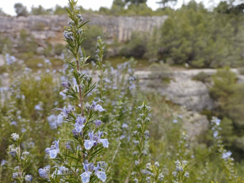 La gravina Madonna della Scala