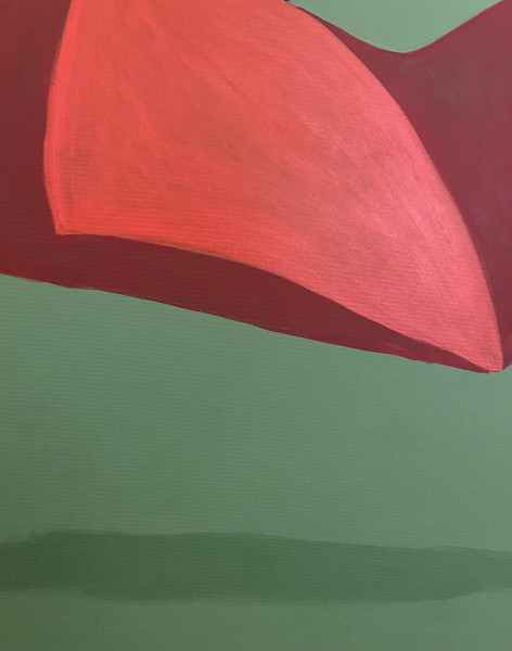 GUARDA IN CAMERA con Pierpaolo Gaballo e Ultimi Fuochi Teatro