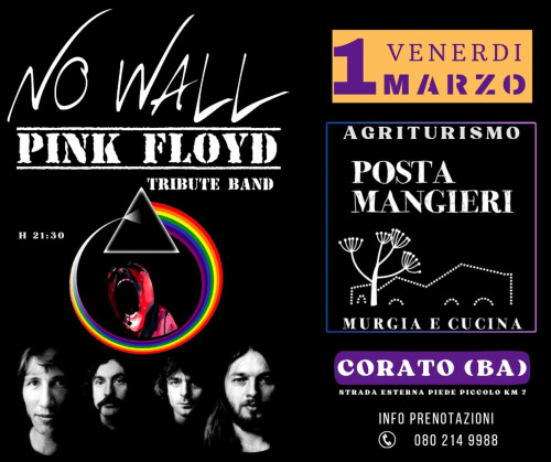 No Wall Pink Floyd Live