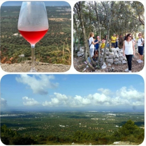 Monte Pizzuto : passeggiata in natura con calice di vino