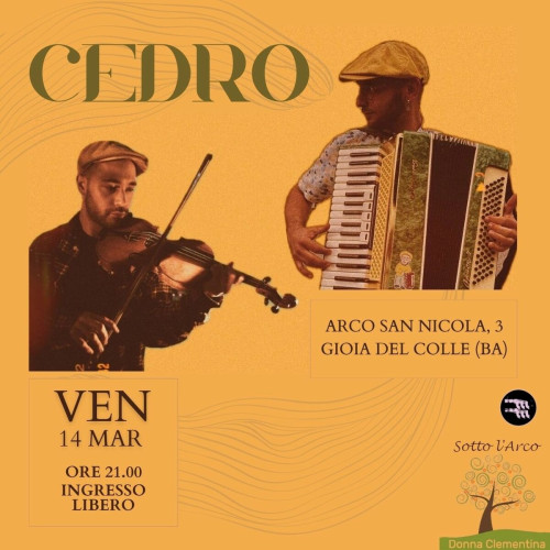 Cedro @Sotto l'Arco