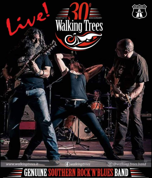 ST. PATRICK'S DAY con i Walking Trees