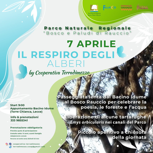 Il respiro degli alberi